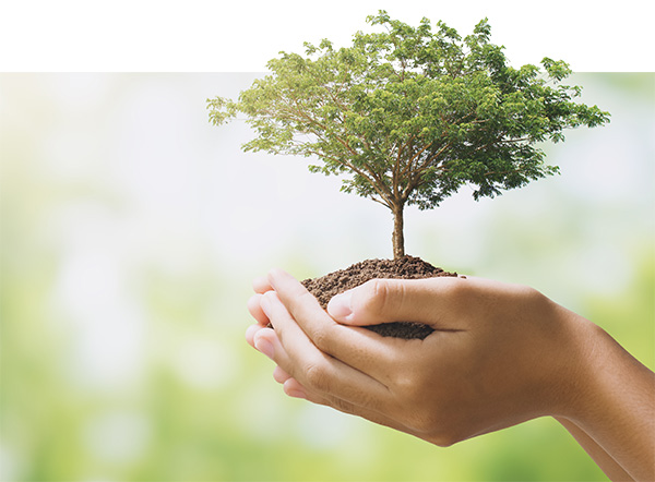 Ein Paar offener Hände hält einen kleinen, vitalen grünen Baum, der aus einem Erdhügel wächst, vor einem hellen, unscharfen Naturhintergrund. Das Bild symbolisiert das kostbare Gut des Atmens, neues Leben und die lebenswichtige Unterstützung, die VIVISOL Home Care Services für eine freie und unbeschwerte Atmung bietet.